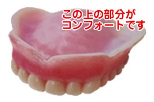 �ɂ��Ȃ����ꎕ�R���t�H�[�g�����ʐ^
